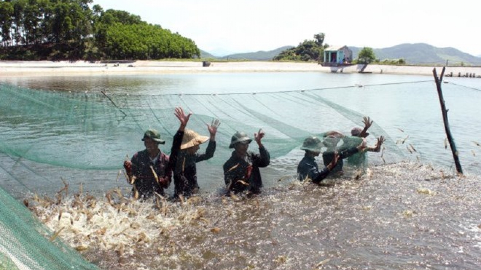 Ca Mau province rolls out red carpet for investors