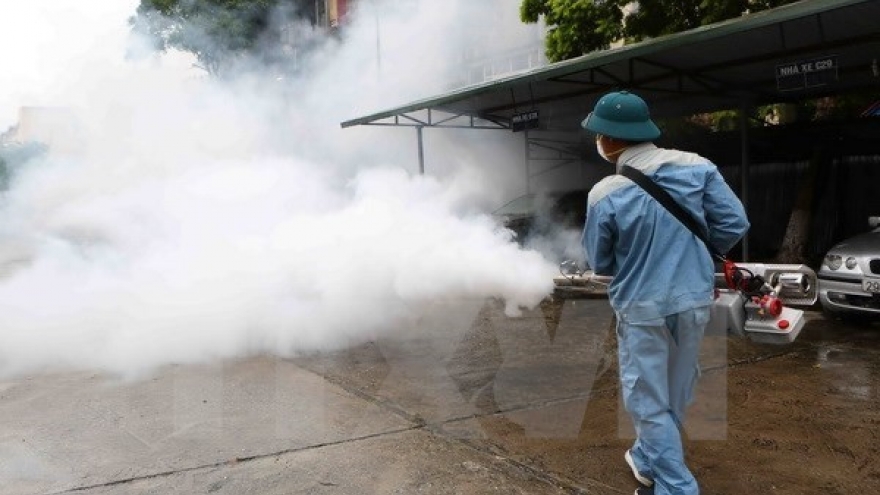 More than 95% of Hanoi’s dengue hotbeds under control