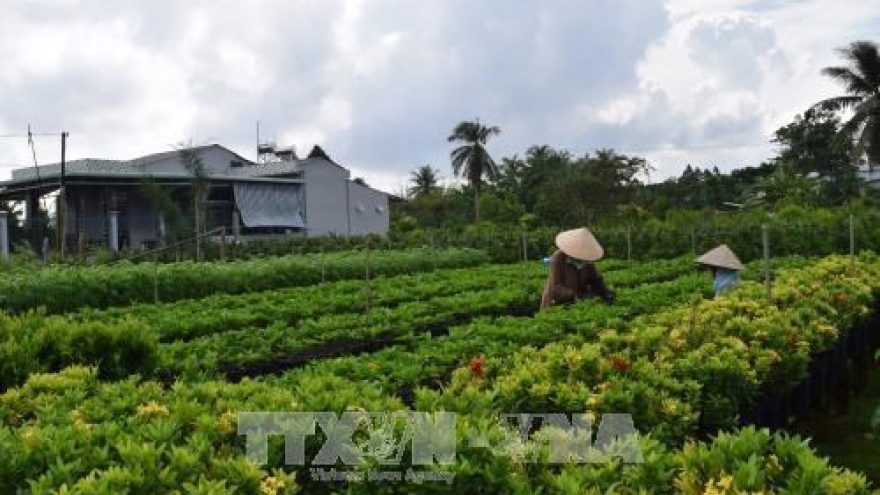 Dong Thap chooses six craft villages for preservation