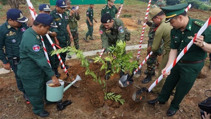 Friendship trees planted at VN-Laos-Cambodia border T-junction