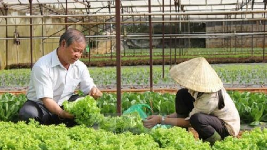 
        Ministry to select cooperatives for hi-tech application
                              