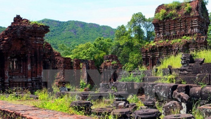 Vietnam strives to preserve My Son heritage site