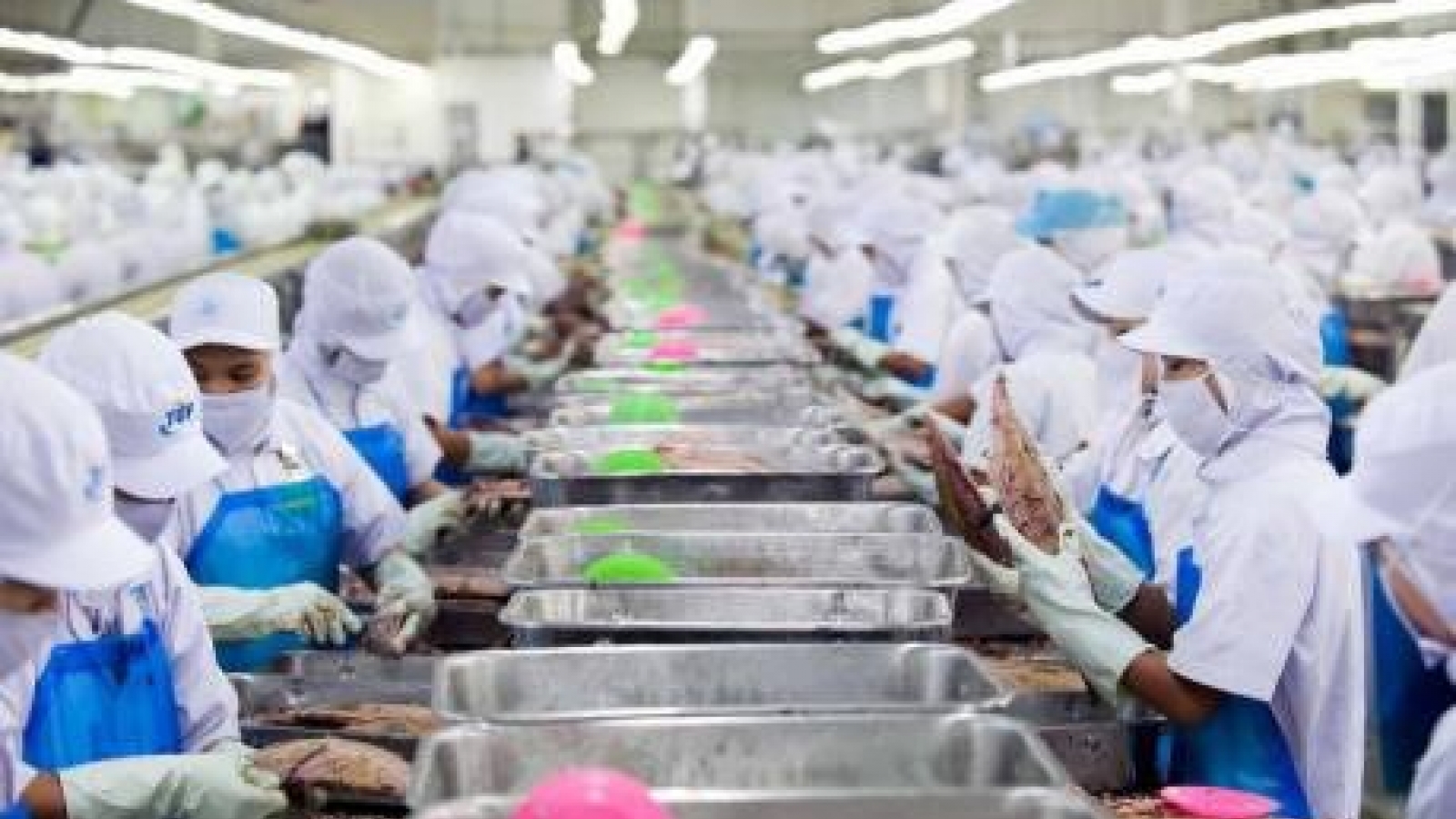Opportunities for skilled Vietnamese workers in Malaysia