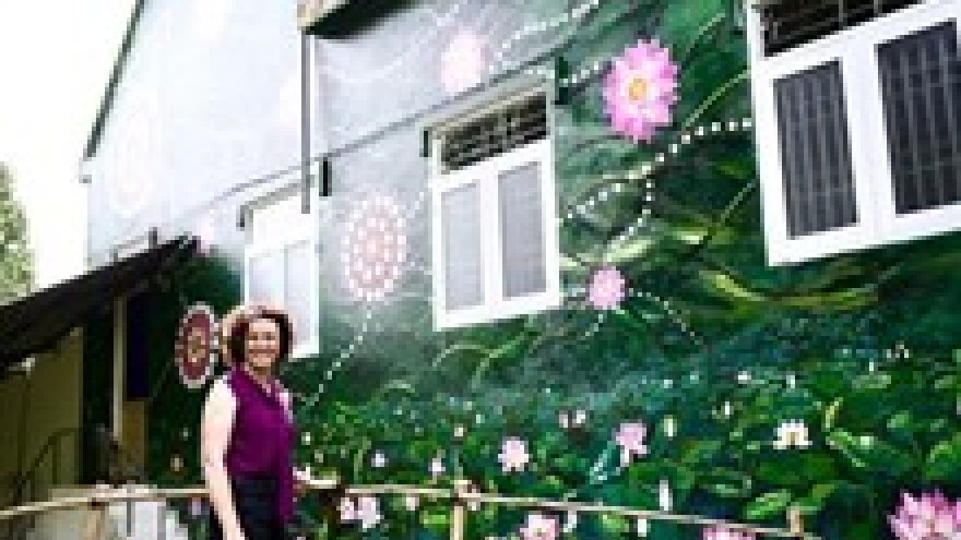 Vietnam-Australia Mural Village launched in Dong Thap