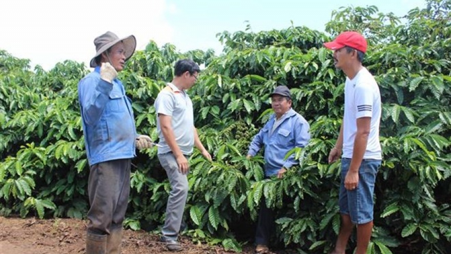 Lam Dong to host first Vietnam Coffee Day