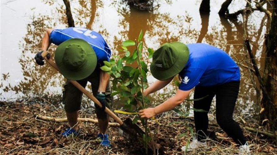 WWF, Intel continue wetland reforestation project in Long An
