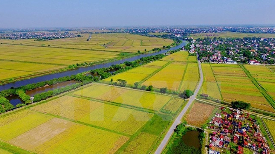 Agro-forestry-fishery exports target US$35 billion next year