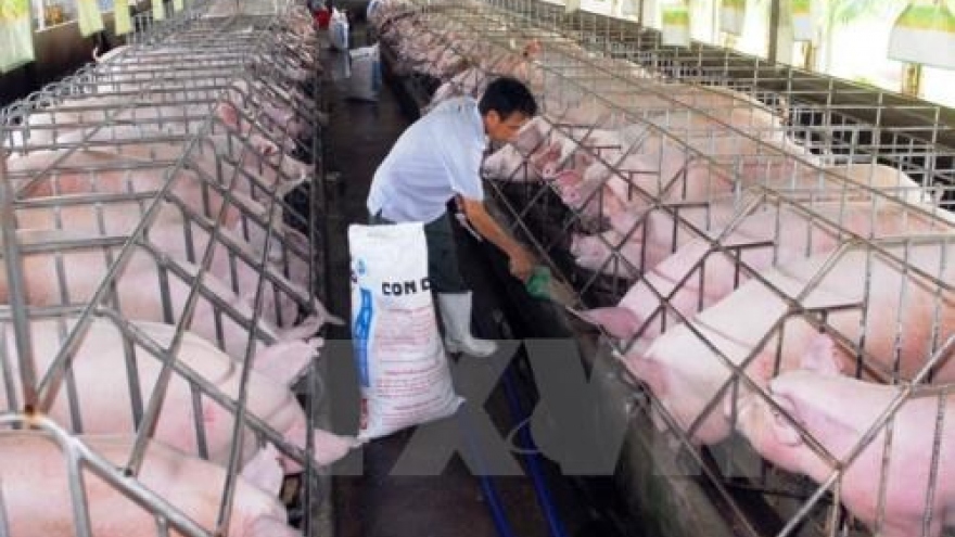Vietnam tops ASEAN in animal feed production