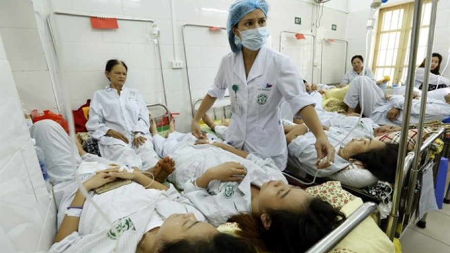 Hanoi, HCM City focus on stamping out dengue fever