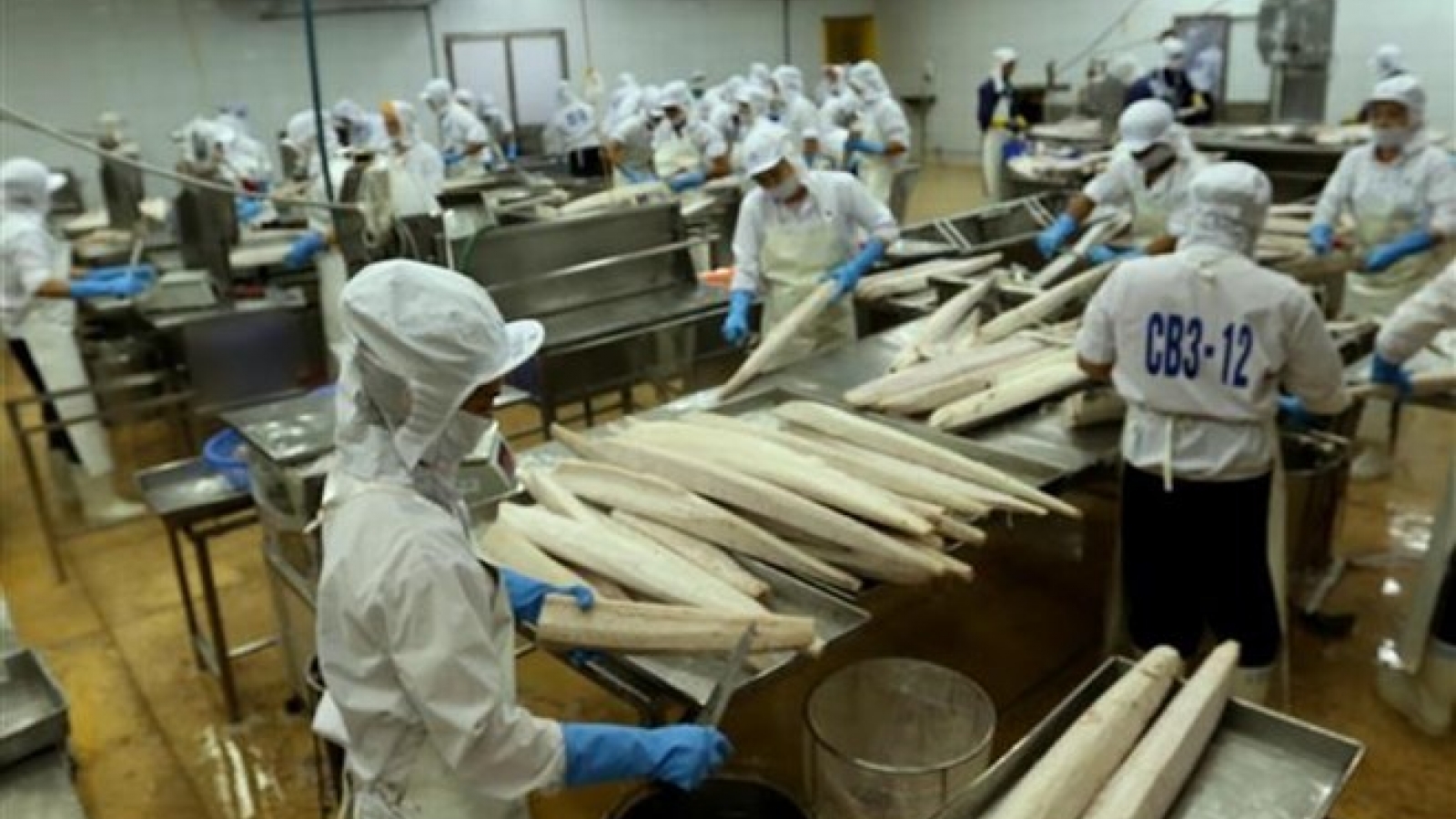 Vietnam should boost domestic consumption of aquatic products: Official