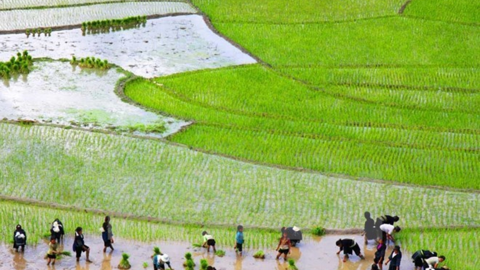 Workshop spotlights draft APEC action plan on rural-urban development