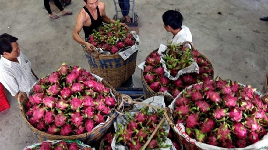 Agriculture research results remain on paper