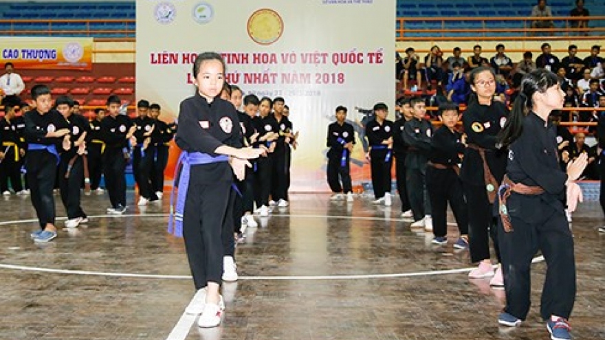 First festival of Vietnam’s martial arts wraps up