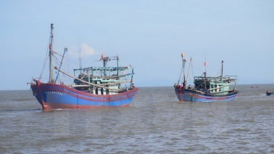 Binh Dinh fishermen in bumper catch