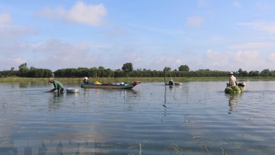 Flood-based livelihoods to help Mekong Delta’s water storage
