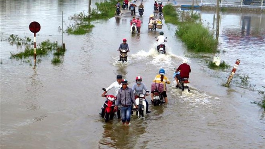 Vietnam Fatherland Front offers aid to storm victims