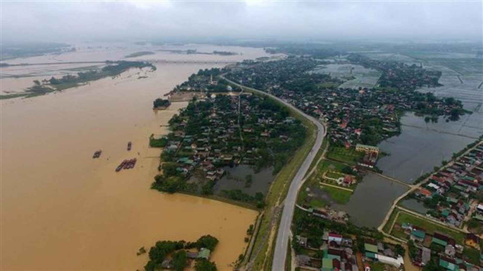 Government provides rice for flood-hit Nghe An province