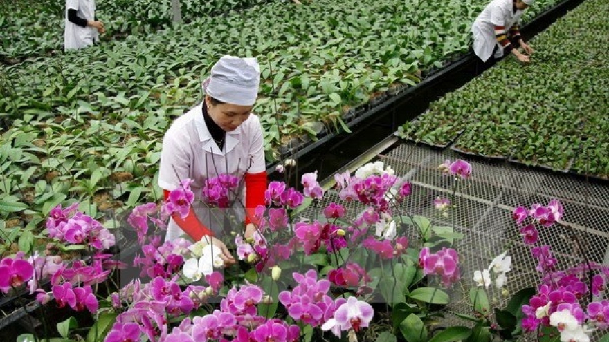 
        Lawmakers urge strong boost to fruit & vegie export, logistics sector
                              