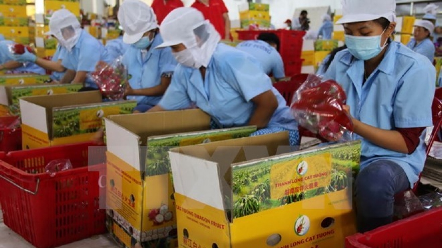 
        Vietnam hoped to become EU’s largest trade partner in ASEAN
                              
