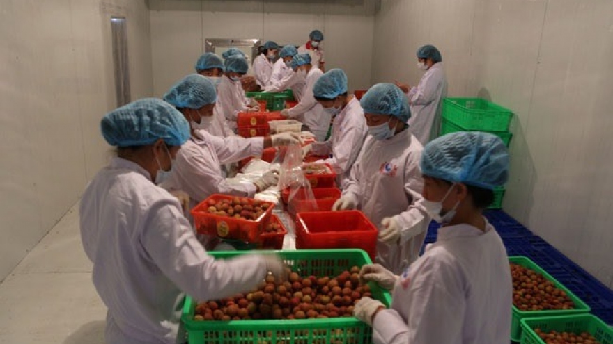 Fruit industry needs technology to reach potential