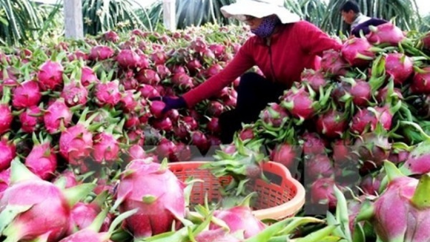 Vietnam seeks ways to boost fruit, veggie exports to EU