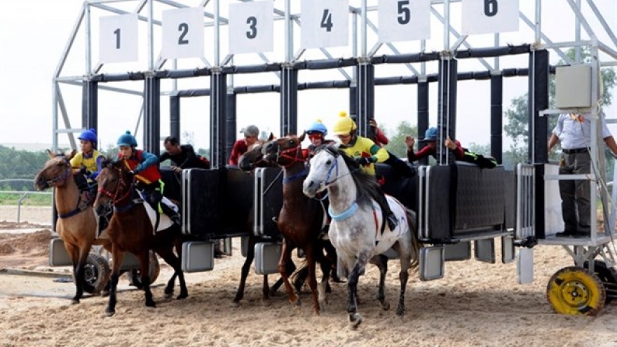 Hong Kong investor proposes racecourse in Can Tho