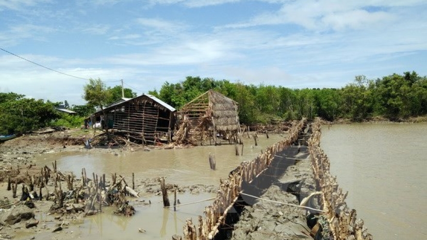 Landslides plague seaside areas in Kien Giang province