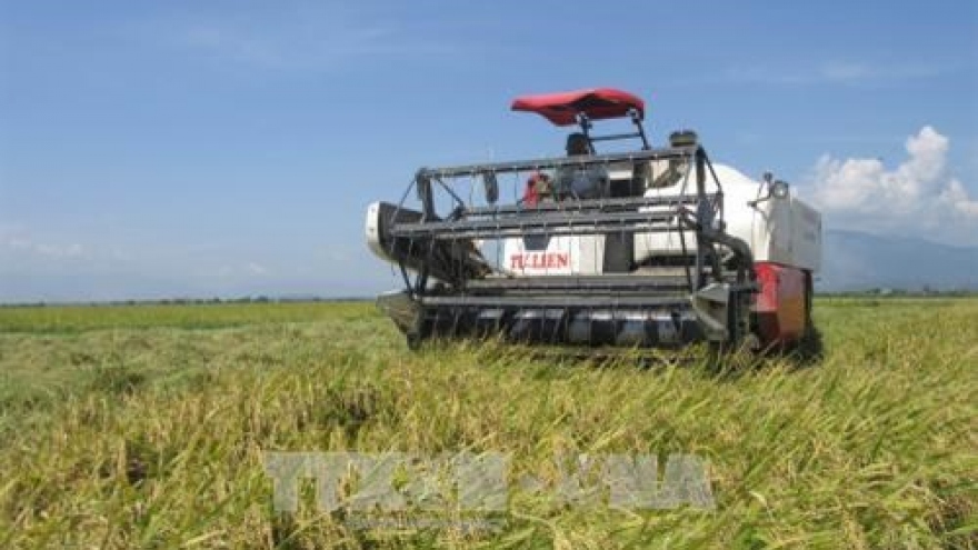 Ninh Thuan works to improve ethnic people’s lives