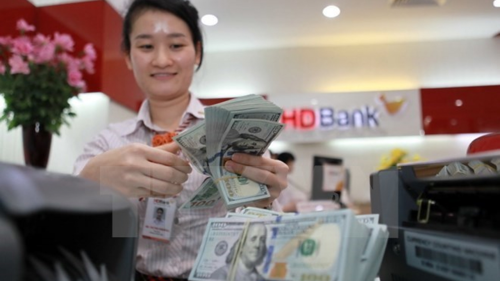 Reference exchange rate down by VND2 at week’s beginning