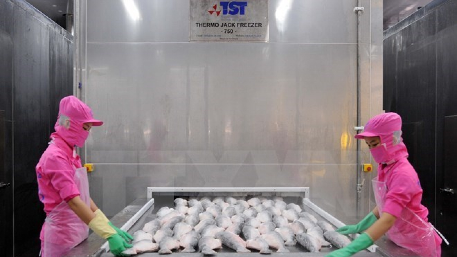 US’s monitoring programme worries Vietnamese seafood firms