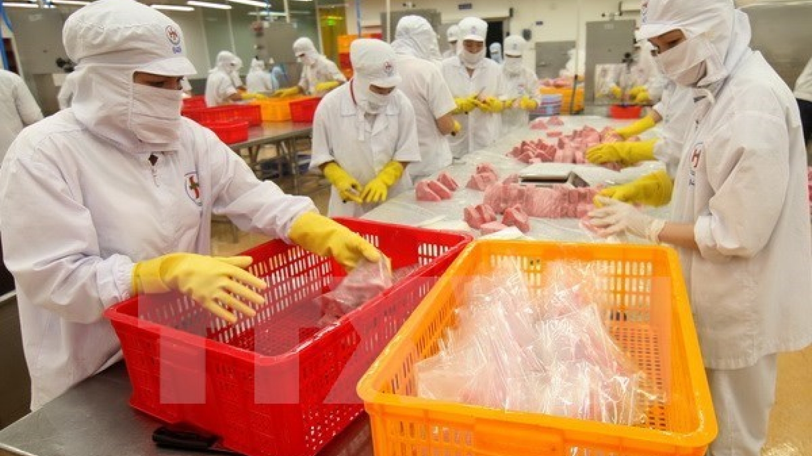 Seafood exporters fear new US, EU regulations on illegal fishing