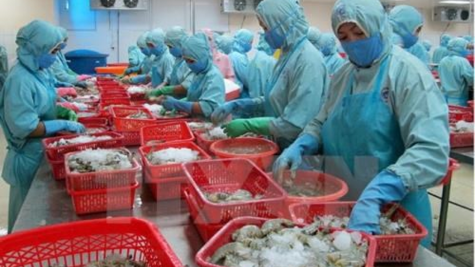 Agro-forestry-fishery exports hit US$27 billion in nine months
