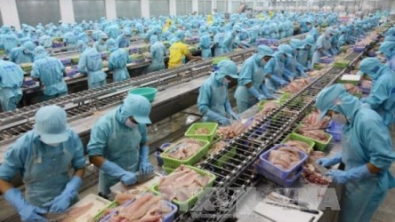 Vietnam aquatic, Tra fish festival scheduled for October