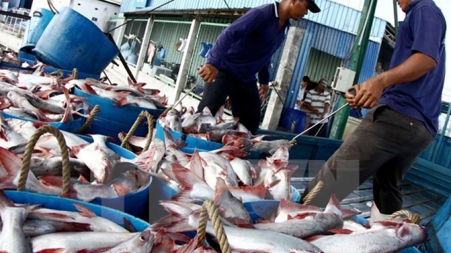 VASEP: No year-end surge in tra fish, shrimp exports to US