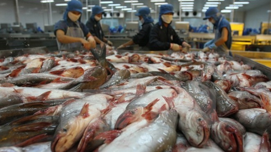 Price of material tra fish surges