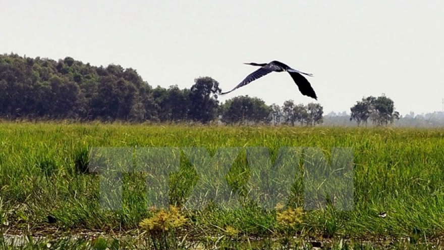 Site support groups prove useful for bird conservation