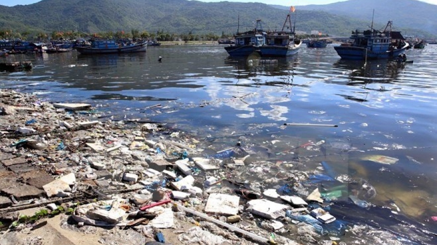 
        Coastal Da Nang city faces severe pollution problems
                              