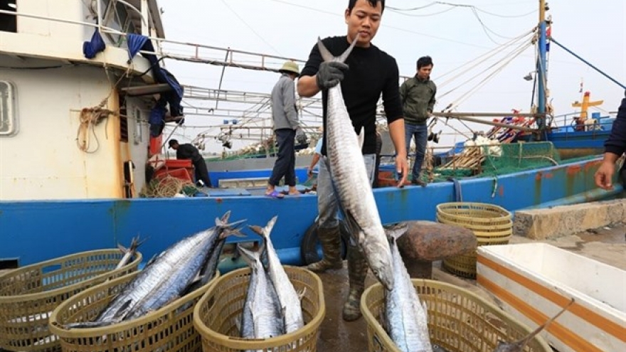 Vietnam works to stop illegal fishing