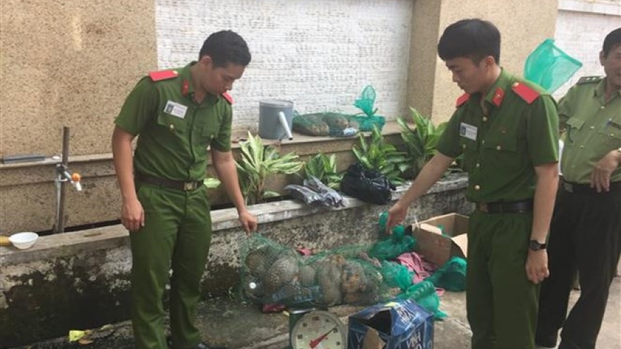 Wildlife transport discovered in Binh Duong