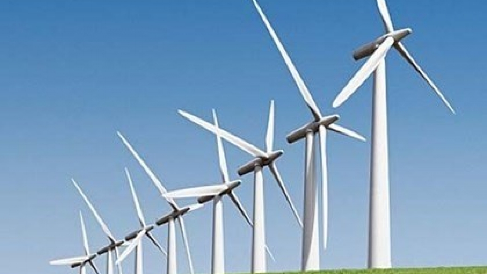 Ben Tre approves Nexif Energy’s wind power project