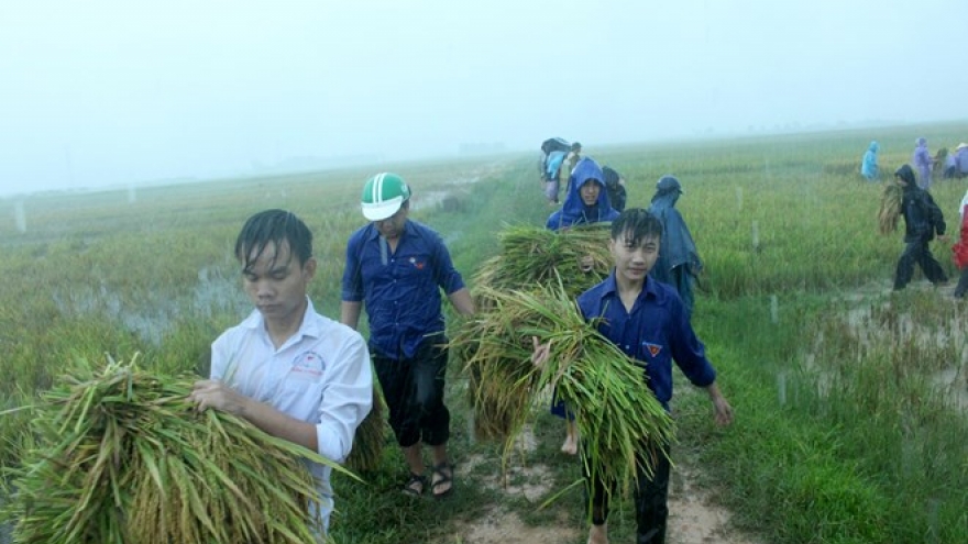 Consultation spotlights policies on youth’s voluntary activities