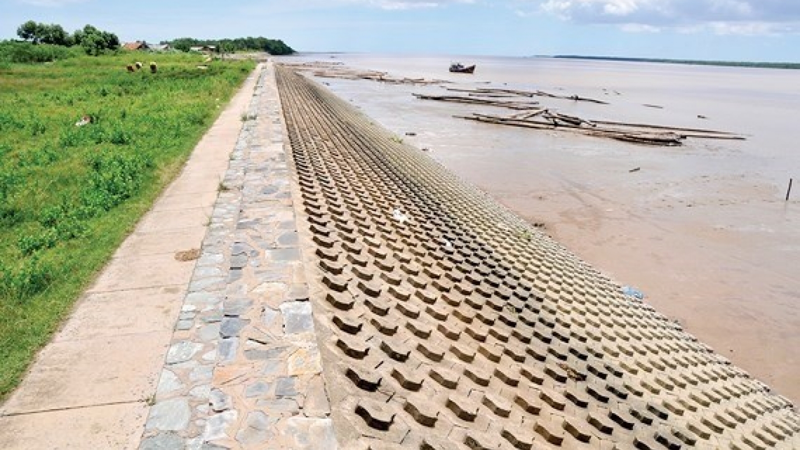 HCM City’s sea dyke aims to stop waterlogging