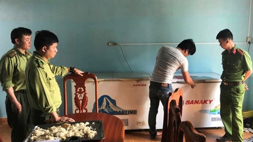 Tigers’ bodies found in wine tank