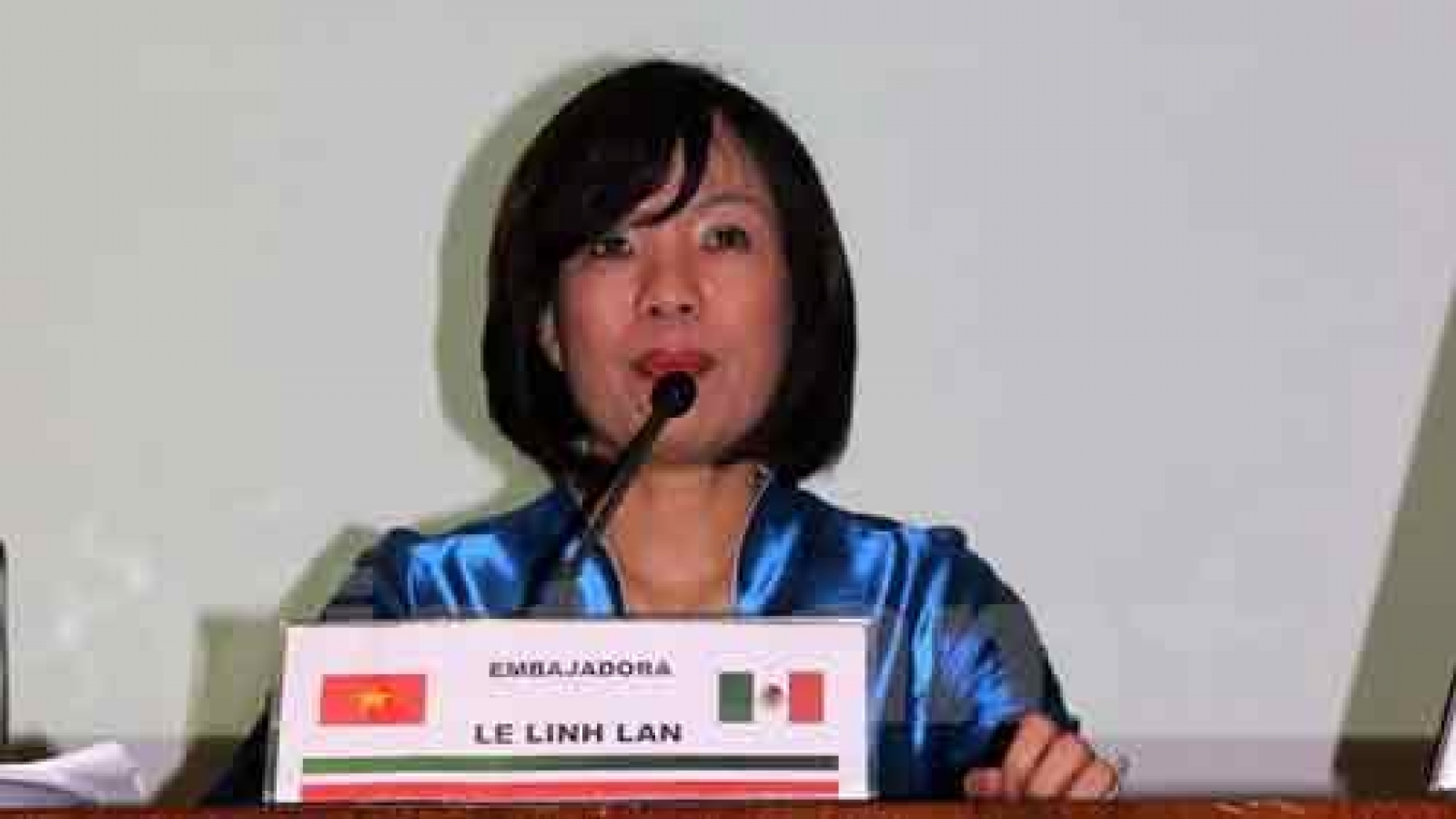 East Sea issue spotlighted in Mexico