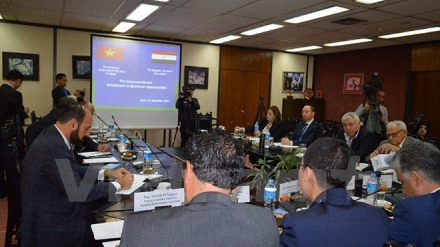Egyptian firms updated on Vietnam’s investment policy