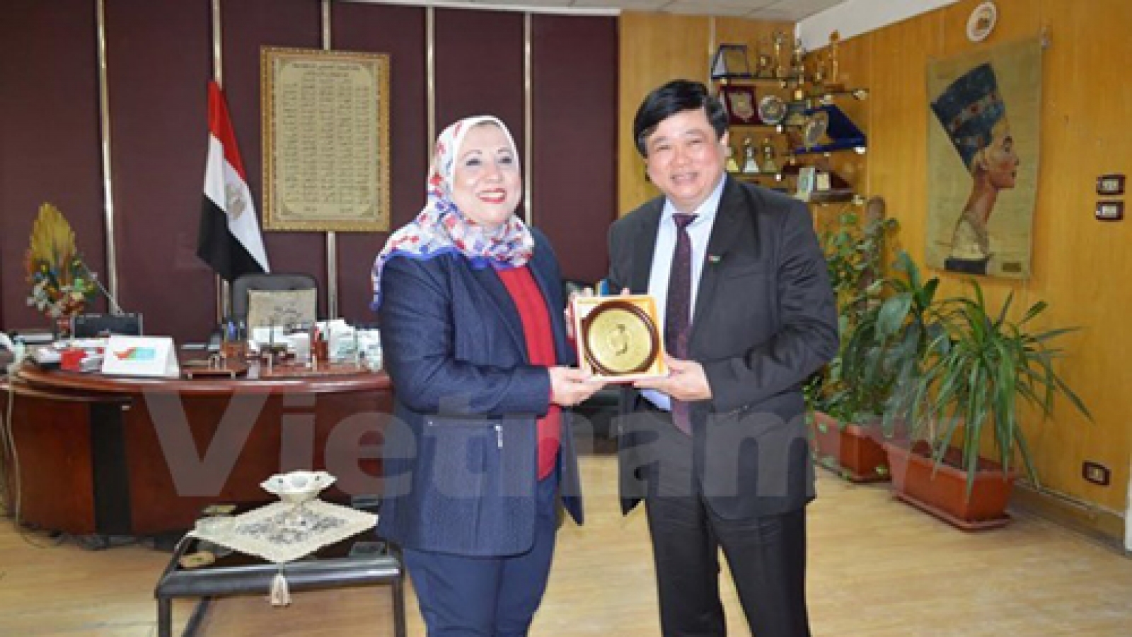 Vietnam, Egypt radio stations foster broadcasting cooperation