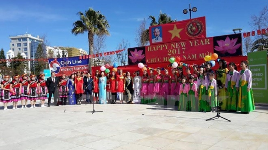 Vietnamese people in Cyprus celebrate Tet