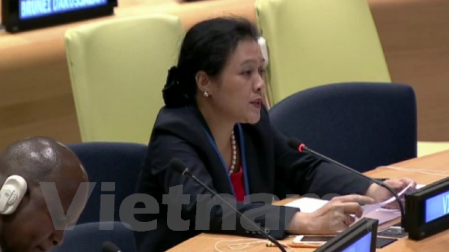 Vietnam backs law enforcement in line with UN Charter: Ambassador