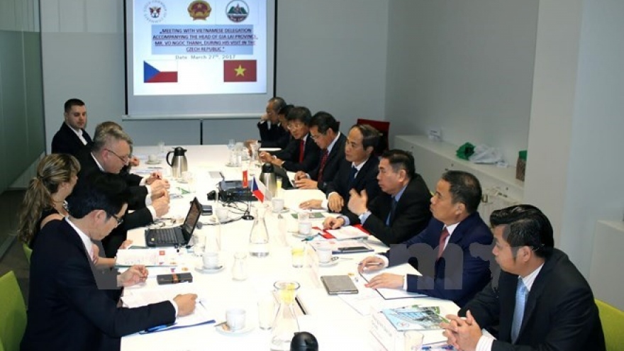 Gia Lai rolls out red carpet for Czech investors