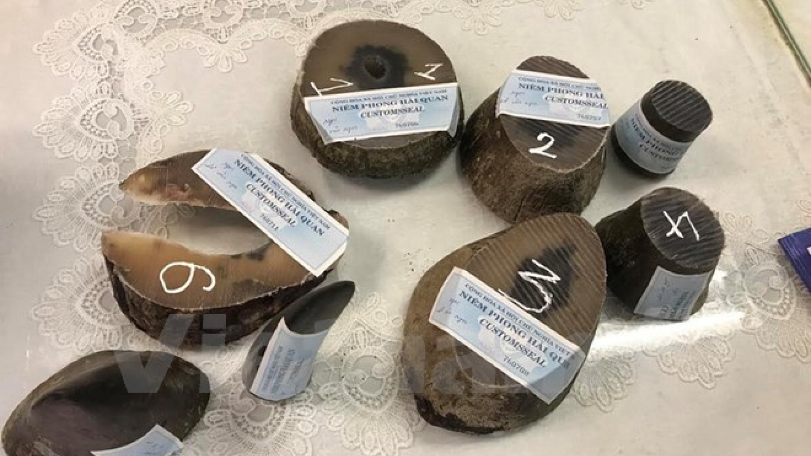 More rhino horns seized at Tan Son Nhat airport